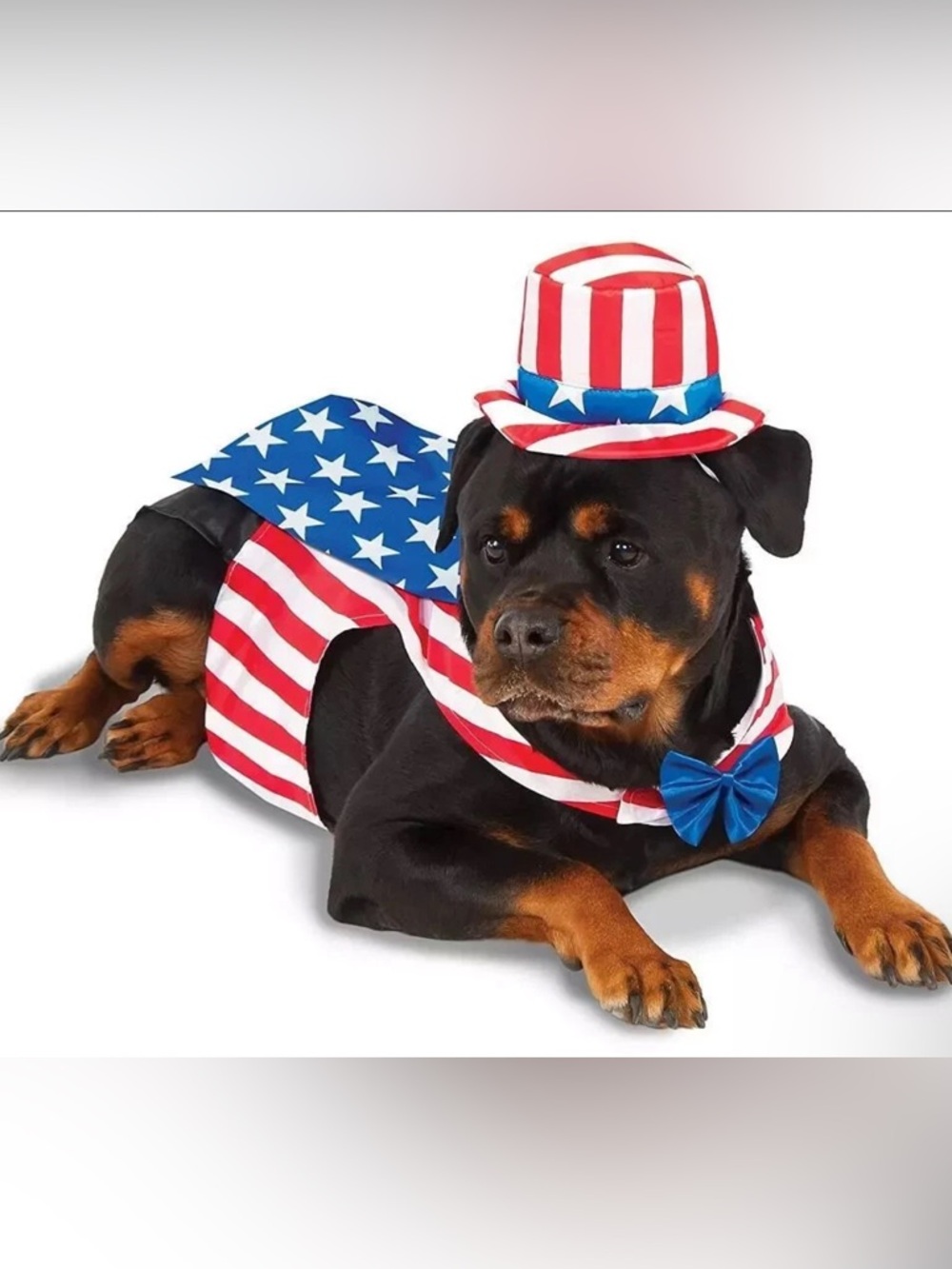 Uncle Sam Pet Costume For 4th of July, Memorial Day, Parades